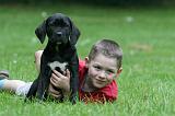 ENFANT ET CHIEN 491